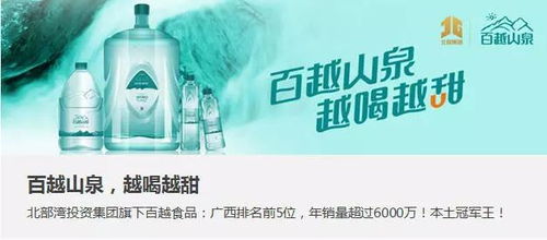 中擂品牌營(yíng)銷策劃案例 梅里雪卡香雪制藥飲品整合營(yíng)銷策略