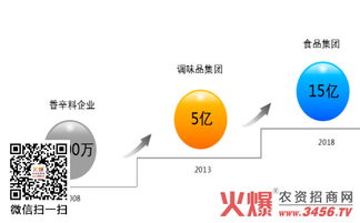 五年蝶變 鴻興源調味品從2000萬到6億的營銷策劃之路