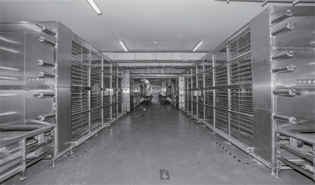 大連弘潤 以“品質力量”加冕，無麩質有機面如何重塑行業標桿與市場格局